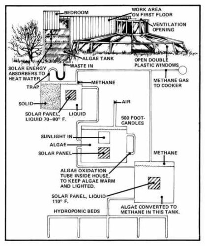 The Ecologic House